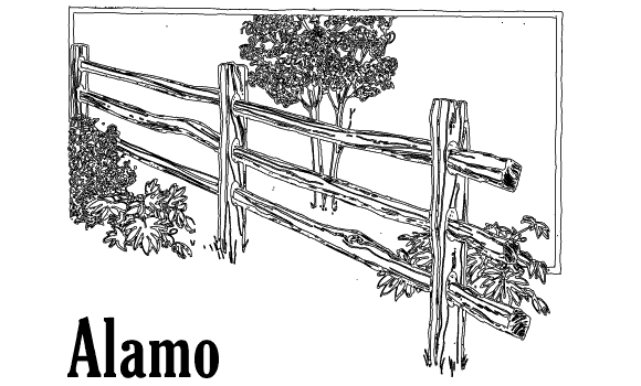Alamo wooden fence